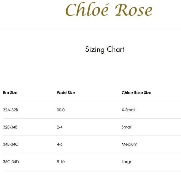 Chloe Rose Women's Dream On Snakeskin Print Triangle Bikini Top Large - Picture 5 of 5